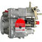 Cummins K19 KTA19 Mesin Konstruksi Mesin Diesel PT Fuel Injection Pump 3883776